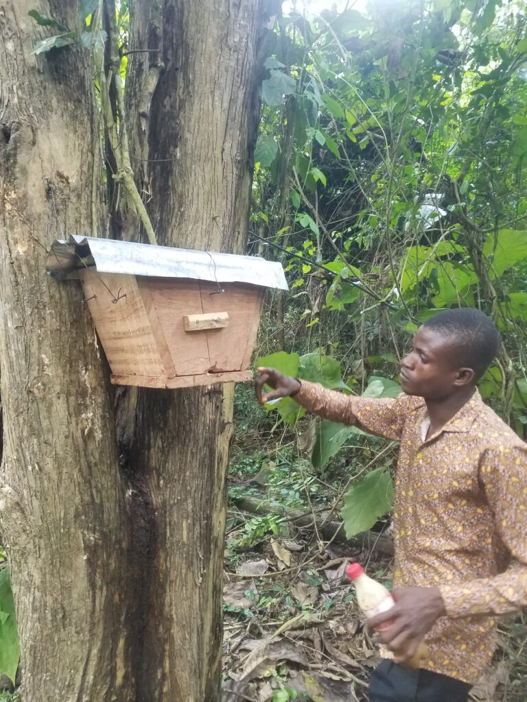This is a mini top bar hive also known as a nuclear box or swarm catcher box
