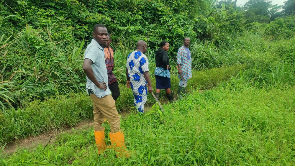 This is farm visit on OAU farm
