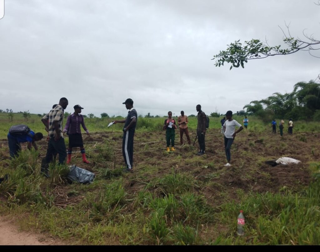 Agricultural training by Homzagroconsults on OAU farm