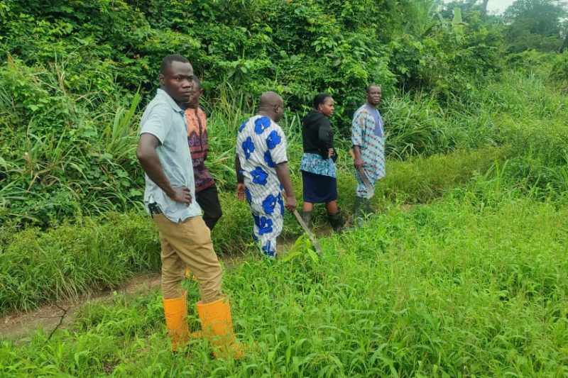 This is farm visit on OAU farm This is farm visit on OAU farm